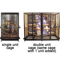 Expandable Cages