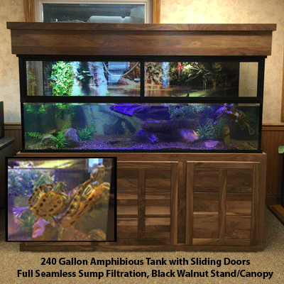 turtle aquarium stand