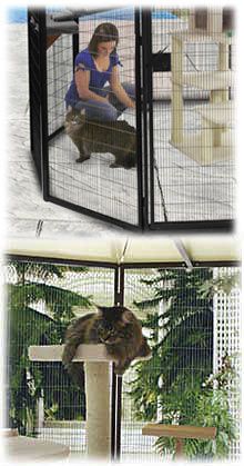 Cat Suncatcher Cages & Condos