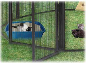 Cat Cages & Condos