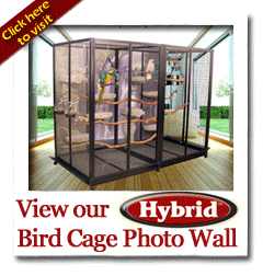 bird cages photo wall