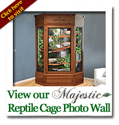 reptile cages photo wall