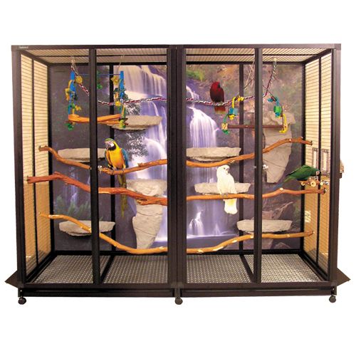 Custom Options - Suncatcher Bird Cages: Single Safety Fly Catch - Custom  Cages