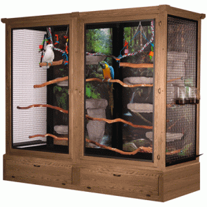 MB04 Bird Cage - 1