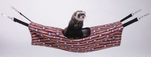 Hanging Tubes for Ferrets & Small Animals