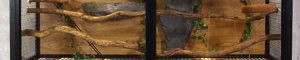 Ribbonwood Bird and Small Animal Perch