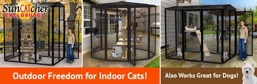 outdoor cat cages and outdoor cat enclosures