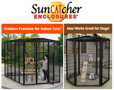 outdoor cat cages and cat enclosures