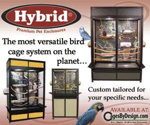 300x250 Hybrid Bird Cages banner