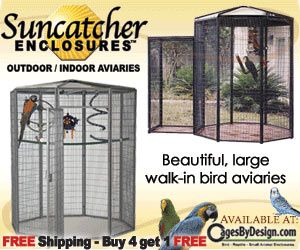 300x250 Suncatcher Bird Cages Banner