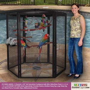 5ft Diameter 48" Tall Suncatcher Aviary for Birds with Wire Sides and Optional Perches