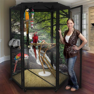 Indoor bird cage with macaws inside