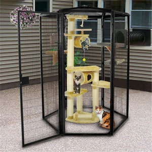 Cat Enclosure