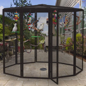 Outside Bird Cages