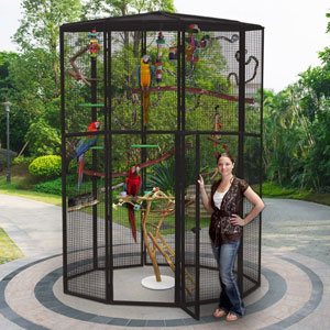 Suncatcher Aviary Cages