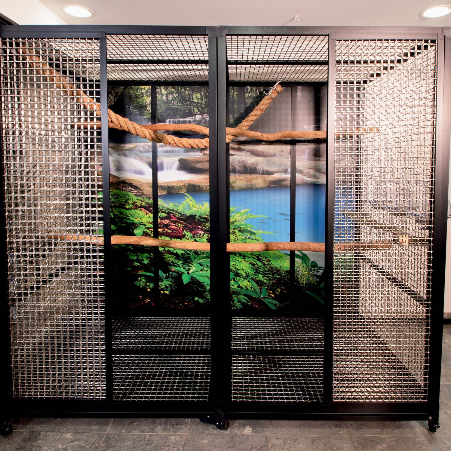 custom cages hybrid bird enclosure display with decor