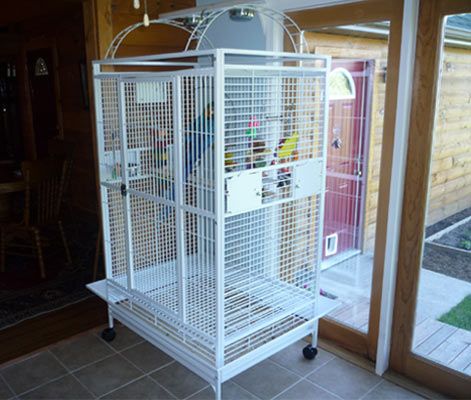 Play Top Bird Cage
