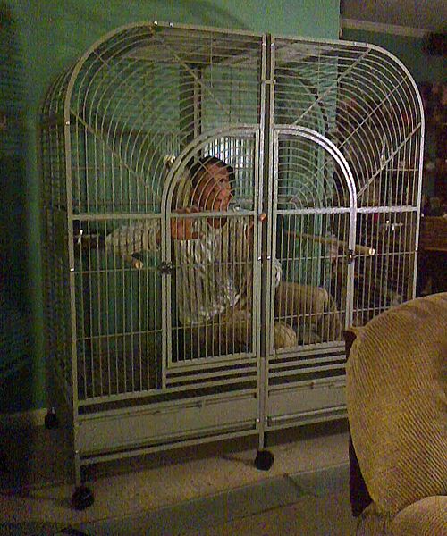 Double Macaw Cage
