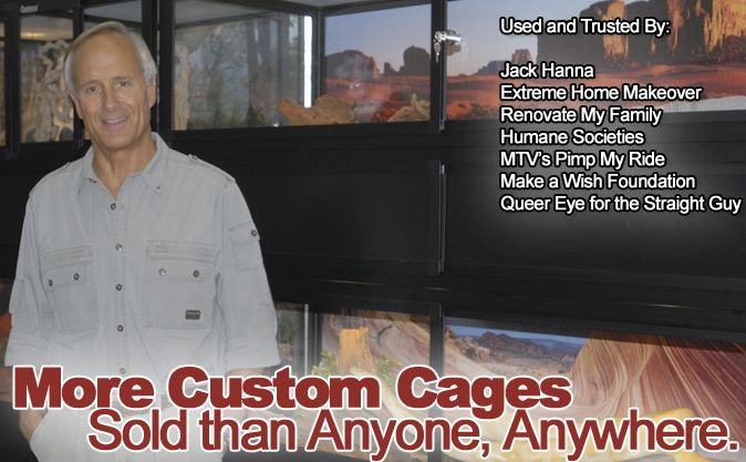 hybrid custom reptile cage experience