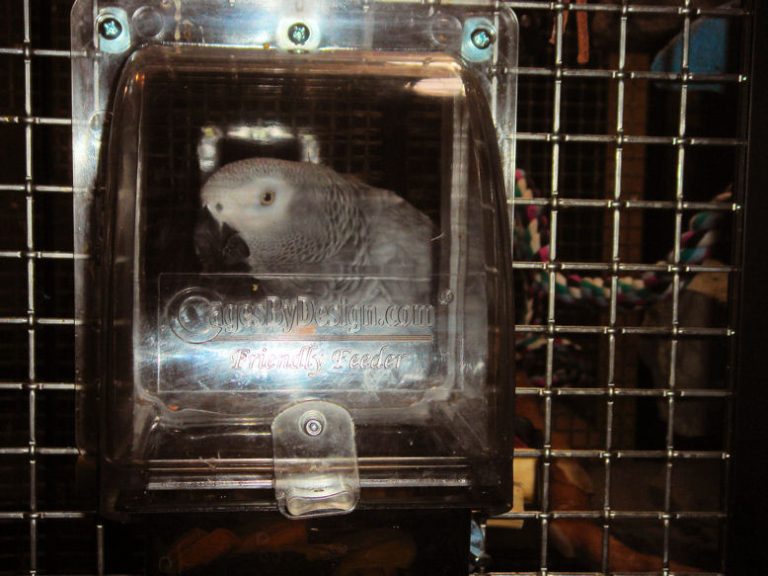 Customer Photo Wall Custom Cages