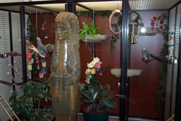 Customer Photo Wall Custom Cages