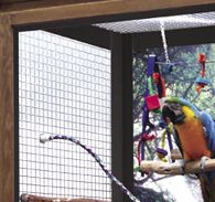 Chew Proof Bird Cages