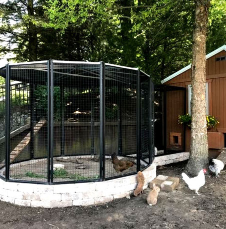 Suncatcher Chicken Enclosures