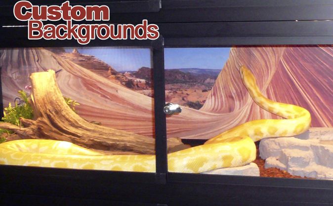 Custom image backgrounds for reptile cages