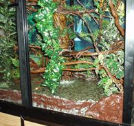 Durable Reptile Safe Caging Materials