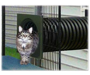 Outdoor Cat Pens, Custom Build Your Own