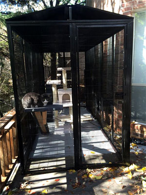 Cat Enclosure - Gerald