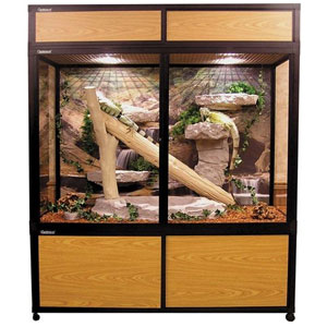 Custom Reptile Terrariums