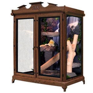 Glass Terrariums Custom Build Your Own Custom Cages Custom Cages