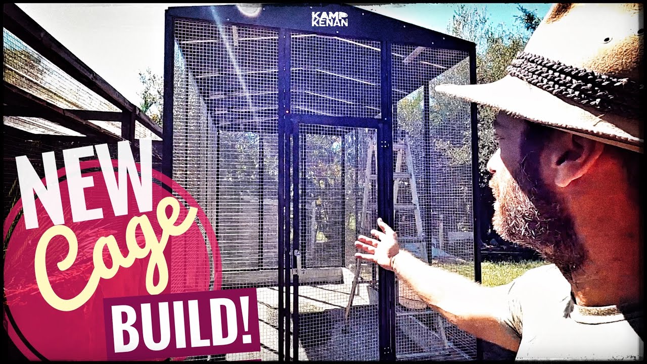 New Enclosure for the New Croc Monitors! Custom Cages