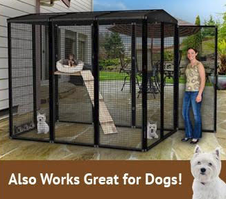 Outdoor Dog Cages