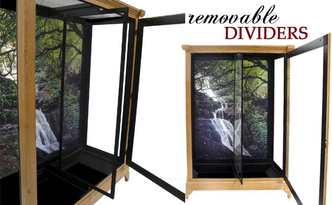 Removable Reptile Cage Dividers