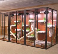Reptile Cages Made to Order in USA
