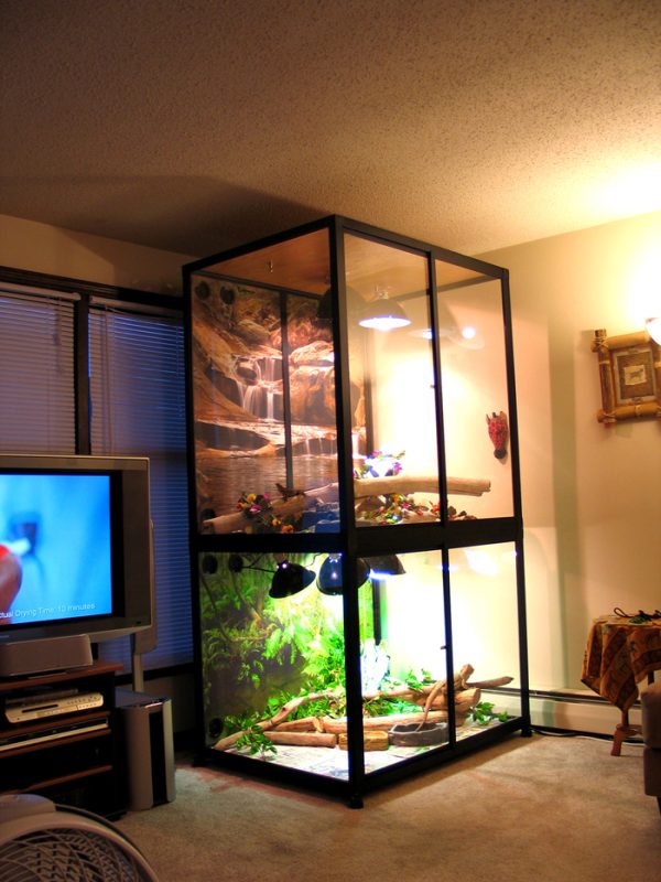 Reptile Cage Photo Wall Custom Cages Custom Cages