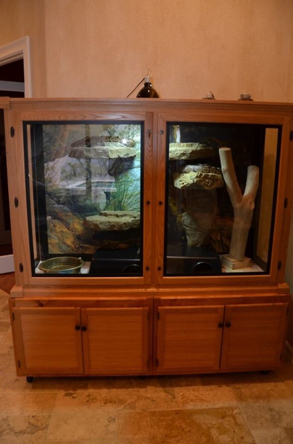 Reptile Cage Photo Wall Custom Cages Custom Cages