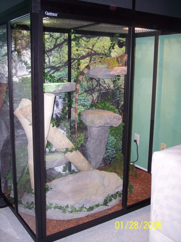 Reptile Cage Photo Wall Custom Cages Custom Cages