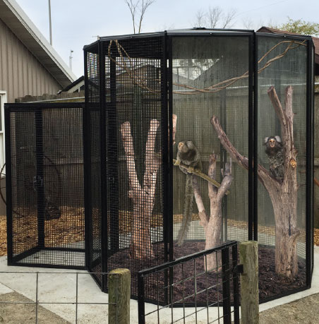 Exotic shop animal enclosures