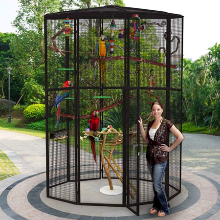 Zoo Bird Cages