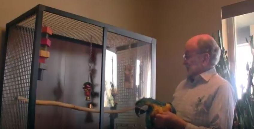 sam hybrid bird cage