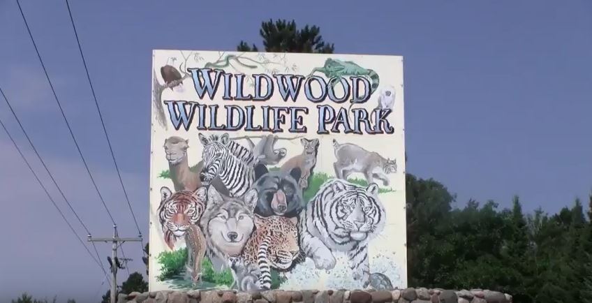 wildwood wildlife park zoo testimonial